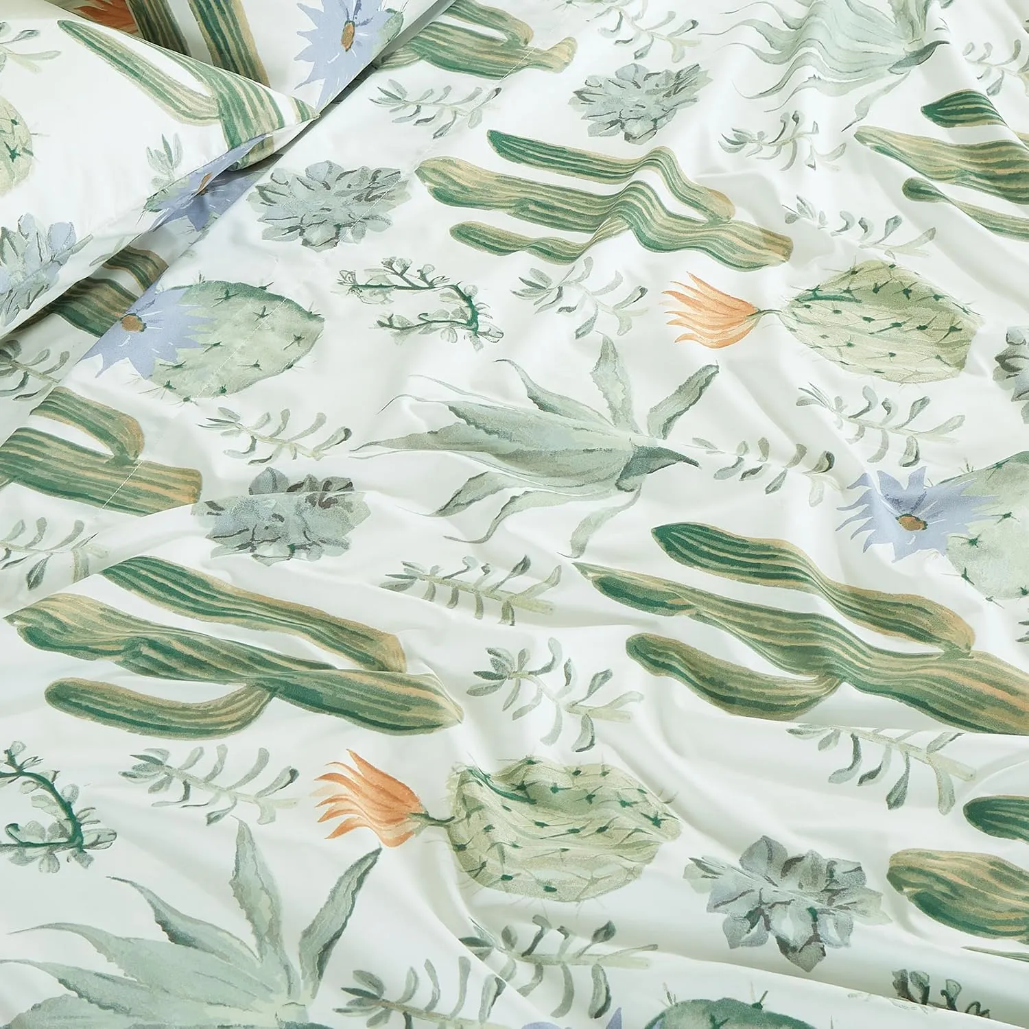 Chezmoi Collection 4-Piece Southwestern Serene Desert Sheet Set Queen Size - Green Blue Cactus Succulent Plant Printed Brushed Microfiber Lightweight Breathable Deep Pocket Bed Sheets