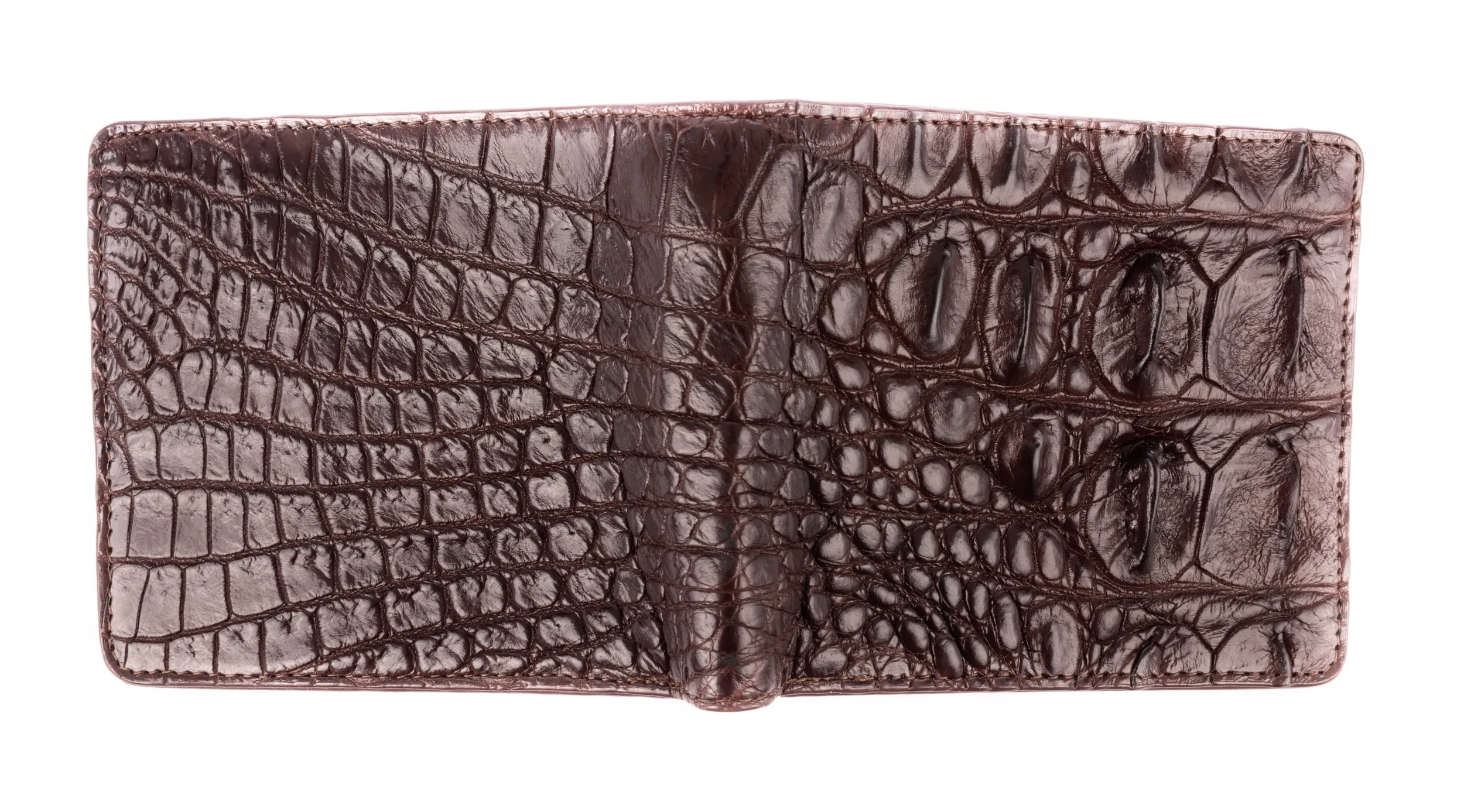 Hornback Crocodile Skin Wallet