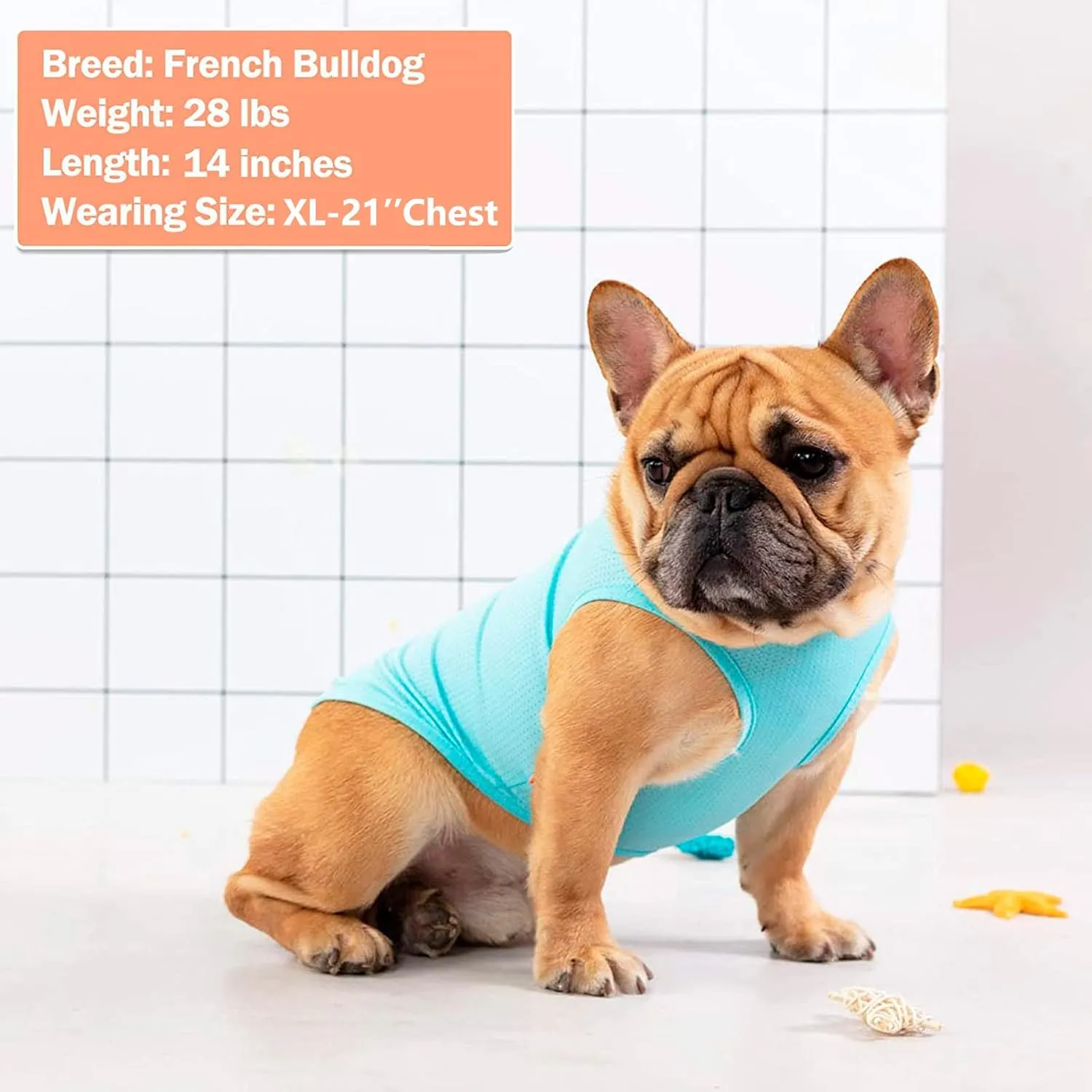 KYEESE 2 Pack Dog Shirts Hawaii Quick Dry Lightweight with Reflective Label Tank Top Sleeveless Vest Great for Summer Cat Clothes Flamingo Pattern Sun Protection, Small